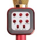 Микрофон для караоке Belsis MA3002BK, 3 Вт, 1200 мАч, Bluetooth, FM, microSD, красный - фото 51458081 Микрофон для караоке Belsis MA3002BK, 3 Вт, 1200 мАч, Bluetooth, FM, microSD, красный - фото 51458081