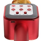 Микрофон для караоке Belsis MA3002BK, 3 Вт, 1200 мАч, Bluetooth, FM, microSD, красный - фото 51458082 Микрофон для караоке Belsis MA3002BK, 3 Вт, 1200 мАч, Bluetooth, FM, microSD, красный - фото 51458082