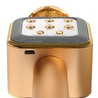 Микрофон для караоке Belsis MA3002BK, 3 Вт, 1200 мАч, Bluetooth, FM, microSD, золотой - фото 51458092 Микрофон для караоке Belsis MA3002BK, 3 Вт, 1200 мАч, Bluetooth, FM, microSD, золотой - фото 51458092