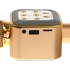 Микрофон для караоке Belsis MA3002BK, 3 Вт, 1200 мАч, Bluetooth, FM, microSD, золотой - фото 51458093 Микрофон для караоке Belsis MA3002BK, 3 Вт, 1200 мАч, Bluetooth, FM, microSD, золотой - фото 51458093