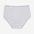 Трусы женские слипы, цвет серый, р-р 50-52 (комплект 2 шт) - фото 21898697