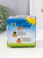 УЦЕНКА Набор для выращивания «Экоживчик. Белка новинка», фигурка растущая 9384065