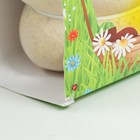 УЦЕНКА Набор для выращивания «Экоживчик. Белка новинка», фигурка растущая 9384065