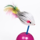 Мышь-неваляшка на шаре, 11×6 см, искусственный мех, фиолетовая, оранжевая - Фото 5