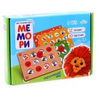 Мемо «Окружающий мир», 12 окошек - Фото 6