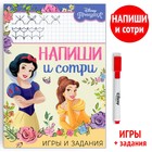 Книга многоразовая «Напиши и сотри. Игры и задания», 16 стр., 17×24 см, маркер, Принцессы - Фото 1