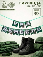 Гирлянда на ленте «Дембель», длина 250 см - Фото 1