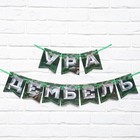 Гирлянда на ленте «Дембель», длина 250 см - Фото 1