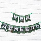 Гирлянда на ленте «Дембель», длина 250 см - Фото 2