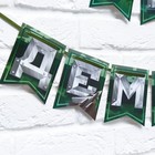 Гирлянда на ленте «Дембель», длина 250 см - Фото 4