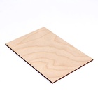 Доски для выжигания «Для собственных идей», 4 штуки - Фото 4