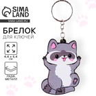 Брелок для ключей деревянный «Енот», 4.4×6.4 см - Фото 1