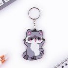 Брелок для ключей деревянный «Енот», 4.4×6.4 см - Фото 2