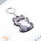 Брелок для ключей деревянный «Енот», 4.4×6.4 см - Фото 3