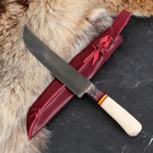 Нож Пчак Шархон - средний, олений рог, гарда гравировка, ШХ15 - фото 3800632