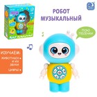 Музыкальный робот, световые и звуковые эффекты 9103540 - фото 1219167