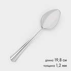 Ложка столовая, длина 19.8 см, толщина 1.2 мм, упрощённой обработки, нержавеющая сталь, серебристая - Фото 1