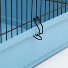 Клетка для грызунов "Сеня 3", металл, 49 x 36 x 51 см, микс цветов - фото 24477313