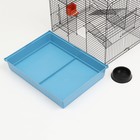 Клетка для грызунов "Сеня 3", металл, 49 x 36 x 51 см, микс цветов - фото 24477314