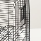 Клетка для грызунов "Сеня 3", металл, 49 x 36 x 51 см, микс цветов - фото 24477315