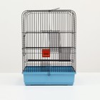 Клетка для грызунов "Сеня 3", металл, 49 x 36 x 51 см, микс цветов - фото 24477303