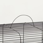 Клетка для грызунов "Сеня 3", металл, 49 x 36 x 51 см, микс цветов - фото 24477305