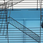 Клетка для грызунов "Сеня 3", металл, 49 x 36 x 51 см, микс цветов - фото 24477310