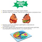 Настольная игра «Хомо-сумо» - фото 24440917