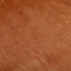 Лоскут 50 × 50 см, мех длинноворсовый на трикотажной основе, цвет терракот - Фото 3