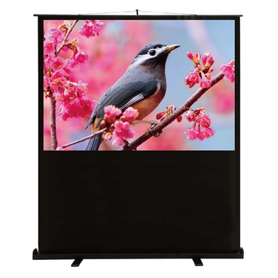 Экран Cactus CS-PSFLCE-120×90, напольный рулонный, 90×120 см, 4:3