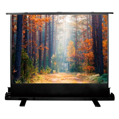 Экран Cactus CS-PSFLE-180×135, напольный рулонный, 135×180 см, 4:3