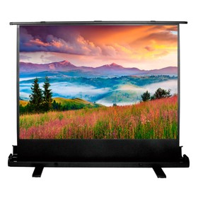 Экран Cactus 68x120см CS-PSFLE-120X68, 16:9, напольный, рулонный