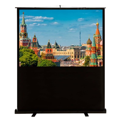 Экран Cactus 150x200см CS-PSFLCE-200X150, 4:3, напольный, рулонный