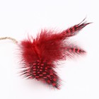 Игрушка для кошек с кошачьей мятой и перьями «Лиса», 10 см, с бубенчиком - Фото 3