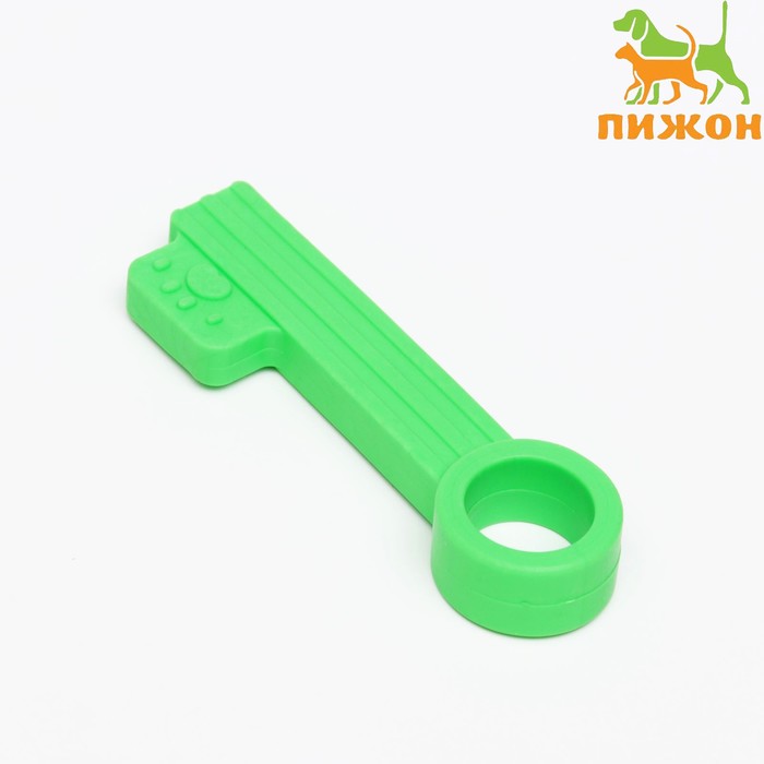 Игрушка жевательная "Ключик", TPR, 10 см, зелёная - Фото 1