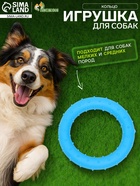 Жевательная игрушка для собак «Кольцо», 8 см, суперпрочная, синяя - Фото 1