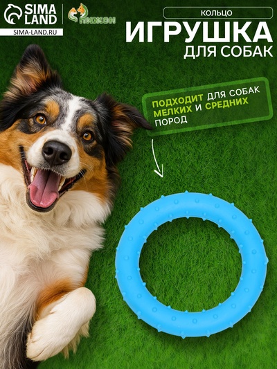 Жевательная игрушка для собак «Кольцо», 8 см, суперпрочная, синяя