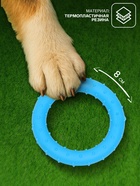 Жевательная игрушка для собак «Кольцо», 8 см, суперпрочная, синяя - Фото 2