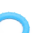 Игрушка жевательная суперпрочная "Кольцо", 8 см, синяя - Фото 3