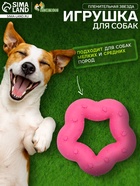 Жевательная игрушка для собак «Пленительная звезда», 7 см, TPR, розовая - Фото 1