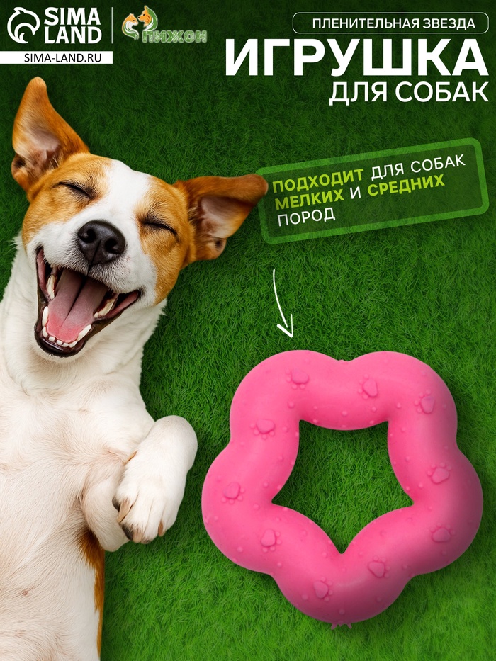 Жевательная игрушка для собак «Пленительная звезда», 7 см, TPR, розовая - Фото 1
