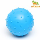 Мяч большой "Шипастый", TPR, 9,5 см, голубой - фото 2802461