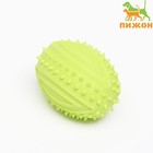 Жевательная игрушка для собак «Граната», 10 см, TPR, салатовая - Фото 1
