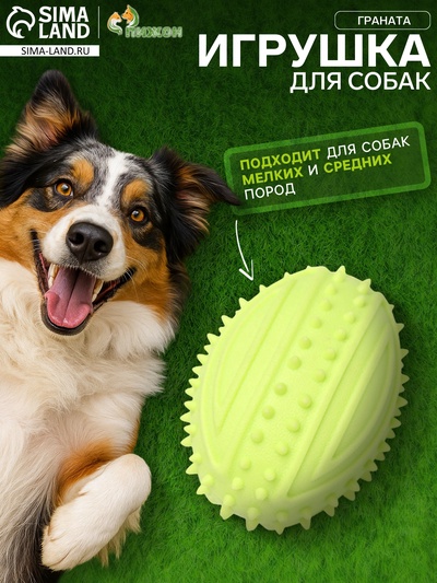 Жевательная игрушка для собак «Граната», 10 см, TPR, салатовая
