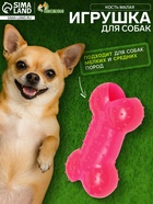 Жевательная игрушка для собак «Кость малая», 8.5 см, суперпрочная, розовая - Фото 1