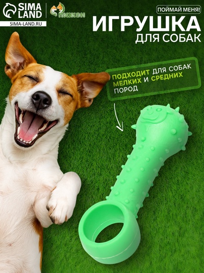 Игрушка-дразнилка для собак «Поймай меня!», 9.5 см, TPR, зелёная