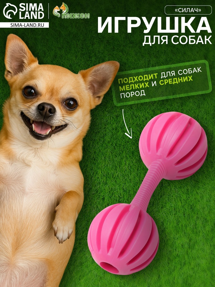 Жевательная игрушка для собак «Силач», 15 см, TPR, розовая - Фото 1