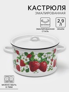 Кастрюля эмалированная «Клубничная поляна», 2.9 л, d=22 см, цилиндрическая, белая - Фото 1