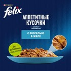 Влажный корм Felix Аппетитные кусочки для кошек, форель в желе, пауч 75 г - Фото 3