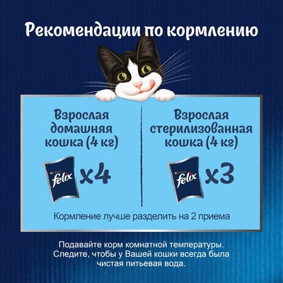 Влажный корм Felix Аппетитные кусочки для кошек, форель в желе, пауч 75 г
